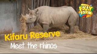 Kifaru rhino reserve at Folly Farm [upl. by Aicyle601]