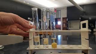 Lab 14 Enzyme activity experiment [upl. by Ana]