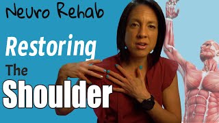 Neuro Rehab Understanding the Shoulder [upl. by Laud]