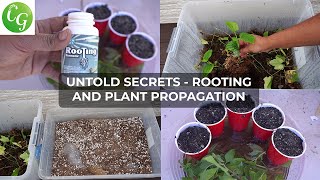 Secret Plant Cuttings Propagation Tips No One Will Tell You [upl. by Ibbob]