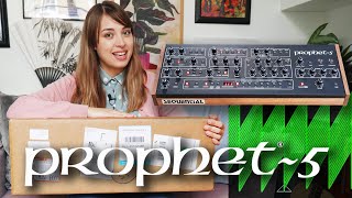 Prophet 5 Rev4 Desktop  Mythical Synth Quest amp Unboxing [upl. by Shah]