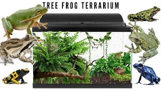 Setting Up A Tree Frog Terrarium [upl. by Broddy273]