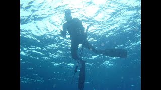 Spearfishing Sodwana bay [upl. by Lachance943]