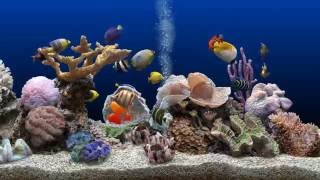 ★ Marine Aquarium ★ UHD Screensaver ★ Blue Ocean ★ 60fps ★ [upl. by Daisie211]