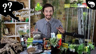 DIY WATERFALL PALUDARIUM For MYSTERY PET From Joshs Frogs [upl. by Sher]