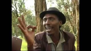 Eritrean comedy suzinino tafla and behabelom Trgum [upl. by Eelsha]