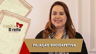 Explica Direito Filiação Socioafetiva  2019 [upl. by Atiekahs16]