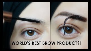 TESTING TATTOO BROWS  Eyebrow Makeup Tutorial [upl. by Eimaral]