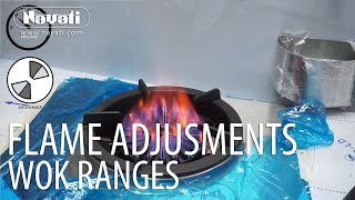 Gas Range Flame Adjustment [upl. by Anneirda]