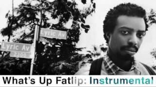 Whats Up Fatlip  INSTRUMENTAL [upl. by Wolbrom]