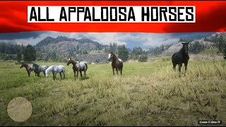 2021 Speedhorse Graham Paint amp Appaloosa Futurity [upl. by Laks940]