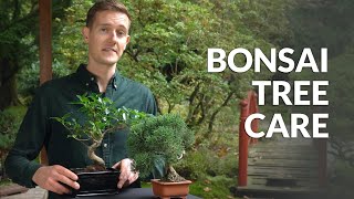 Bonsai tree care [upl. by Fernande569]