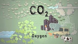 Climate Science in a Nutshell 4 Too Much Carbon Dioxide [upl. by Daphna]