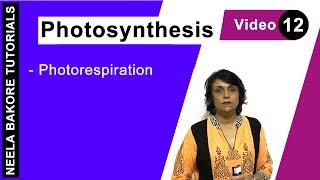 Photosynthesis  NEET  Photorespiration  Neela Bakore Tutorials [upl. by Ajit]