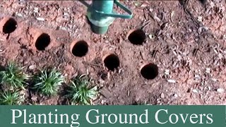 How To Plant Groundcovers  Dwarf Mondo Vinca Minor Periwinkle and pachysandra [upl. by Reynold]