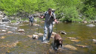 Dolly Sods West Virginia Backpacking  May 2022 [upl. by Lleddaw927]