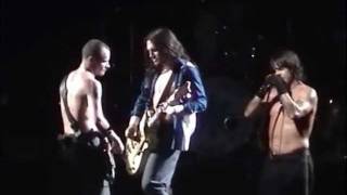 Red Hot Chili Peppers  Intro  Otherside LIVE [upl. by Sonya]