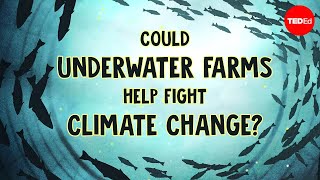 Underwater farms vs climate change  Ayana Elizabeth Johnson and Megan Davis [upl. by Dimphia94]