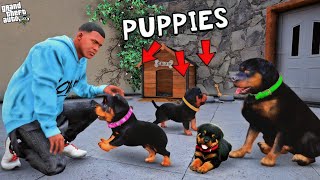 Franklin Found Chop Secret Puppies In GTA 5  Shinchan and Chop GTA 5 [upl. by Arratahs]