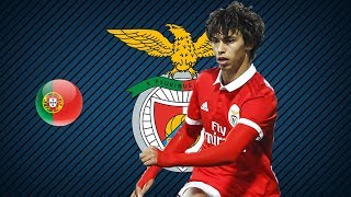 JOAO FELIX  SL Benfica  Goals Skills Assists  20172018 HD [upl. by Enelram855]