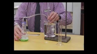 Catalase experiment [upl. by Elburt]