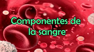 Los componentes de la sangre [upl. by Ailahs]