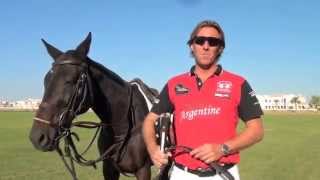 Learn how to play polo The Essential Guide by Steve Thompson [upl. by Romney780]