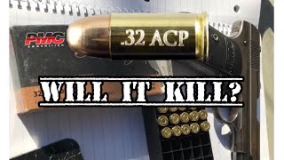 Truth about the 32 ACP [upl. by Syxela]