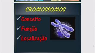 Cromossomos  O que é Cromossomos [upl. by Nawor288]