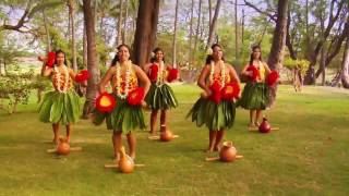 Beautiful Hula  Polynesian Dancers [upl. by Nahallac]