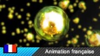 Fission nucléaire Animation [upl. by Uno]