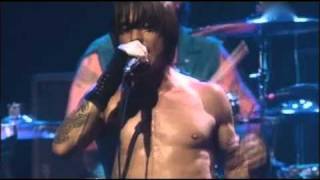 Red Hot Chili Peppers  Otherside  Live at Olympia Paris [upl. by Opal]