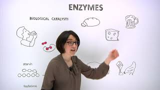 What are enzymes [upl. by Hauser]