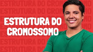 Estrutura do Cromossomo  Prof Kennedy Ramos [upl. by Dayle]