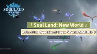 Soul Land New World  Guide  Tips and Codes [upl. by Ribal]