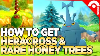 How to Get Heracross amp Other RARE Honey Tree Pokemon  Pokemon Brilliant Diamond [upl. by Jaal992]