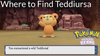 Pokemon Shining Pearl  Where to Find Teddiursa [upl. by Menashem245]