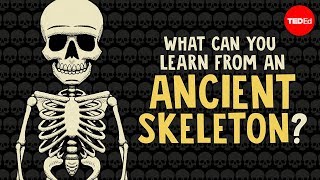 What can you learn from ancient skeletons  Farnaz Khatibi [upl. by Yddub]