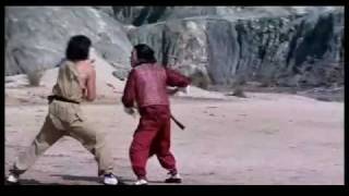 Jackie Chan vs Hwang Jang Lee Snake In The Eagles Shadow End Fight HQm4v [upl. by Sutphin]