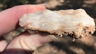 Rockhounding Agate Chalcedony and Obsidian in the Jemez Mountains of New Mexico [upl. by Damahom]