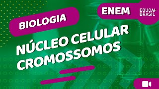 BIOLOGIA – Núcleo Celular – Cromossomos ENEM [upl. by Burget]