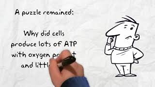 An Introduction to Enzyme Assays [upl. by Araik]