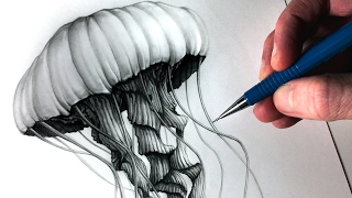 How to Draw a Jellyfish [upl. by Enyamert]