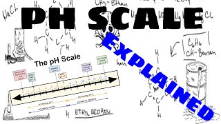 The pH Scale Explained [upl. by Hardman249]