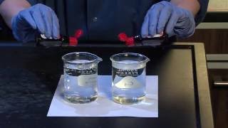 Diffusion and Osmosis  For Teachers [upl. by Anahs138]