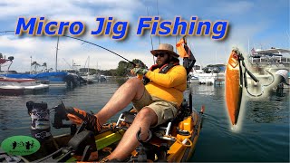 Micro Jig Fishing Mission Bay [upl. by Ardnik]