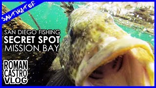 San Diego Fishing at Mission Bay SECRET Hot Spot  and Challenge [upl. by Annuaerb]