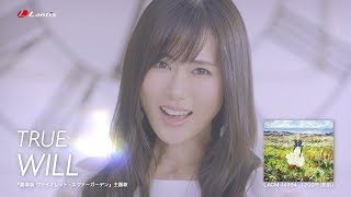 【TRUE】「WILL」MV Short Ver（『劇場版 ヴァイオレット・エヴァーガーデン』主題歌） [upl. by Watson22]