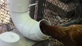 DIY Rodent Proof Chicken Feeders [upl. by Chilt]