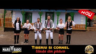 TIBERIU SI CORNEL  CASUTA DIN PADURE OFICIAL VIDEO 2019 [upl. by Nosreip935]